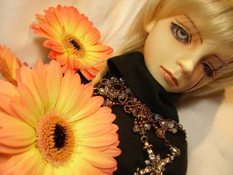 dollphoto