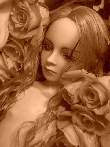 dollphoto