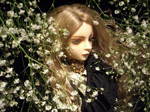 dollphoto