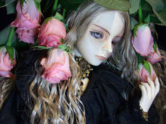 dollphoto