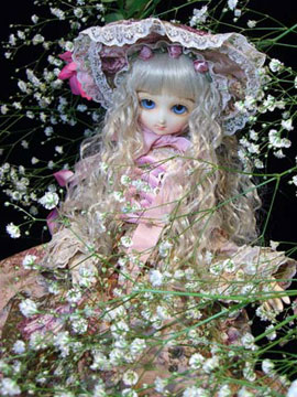 dollphoto